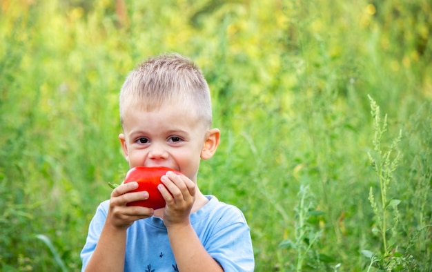 Het kind houdt verse groenten in zijn handen eet peper Natuur selectieve focus