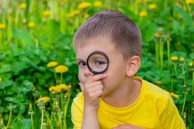 Het kind kijkt door een vergrootglas naar de bloemen Zoom in