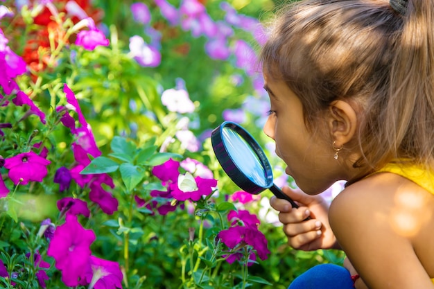 Het kind onderzoekt de planten met een vergrootglas. Selectieve aandacht.