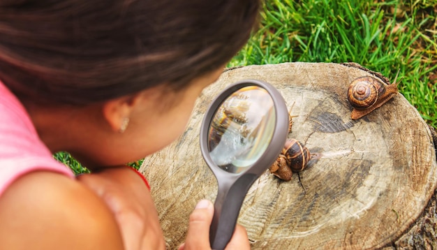 Het kind onderzoekt de slakken op de boom Selectieve focus