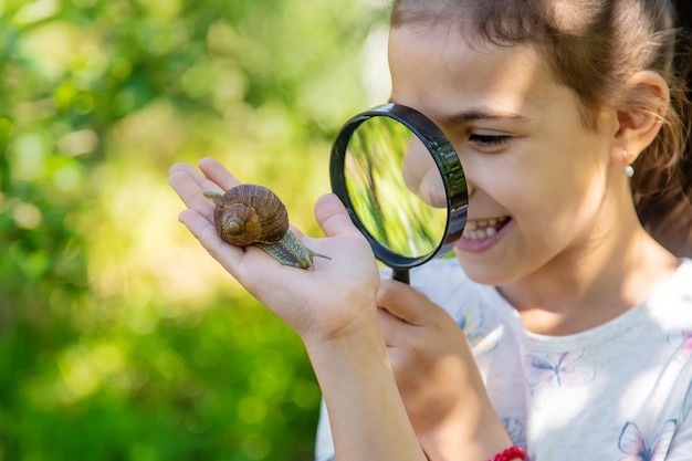 Het kind onderzoekt de slakken op de boom Selectieve focus