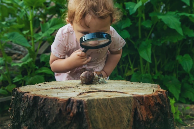 Het kind onderzoekt de slakken op de boom Selectieve focus