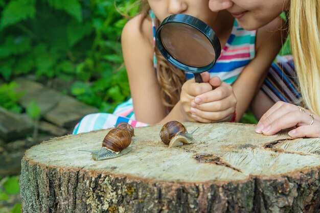 Het kind onderzoekt de slakken op de boom Selectieve focus