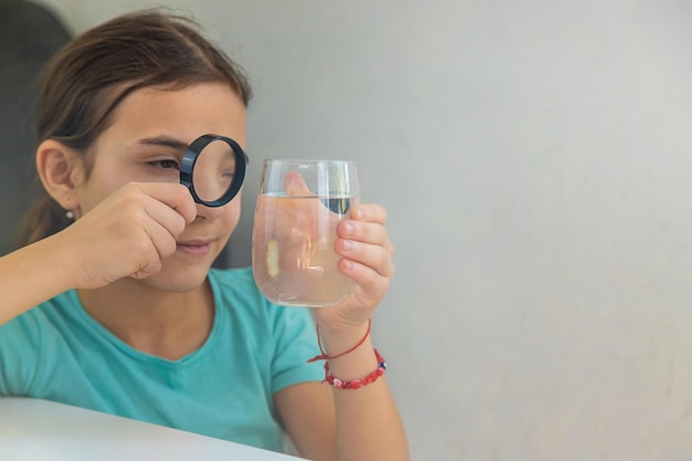 Het kind onderzoekt het water onder een vergrootglas Selectieve focus