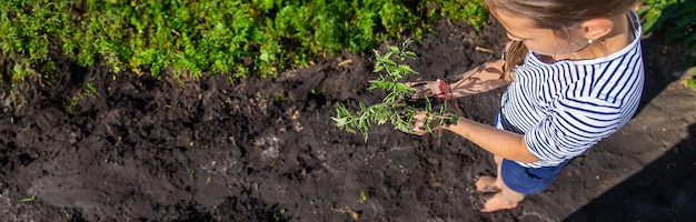 Het kind plant een plant in de tuin Selectieve focus