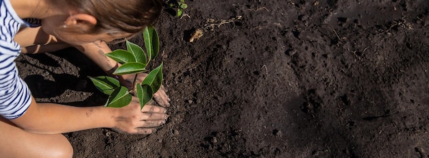 Het kind plant een plant in de tuin Selectieve focus