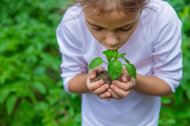 Het kind plant zaailingen in de tuin