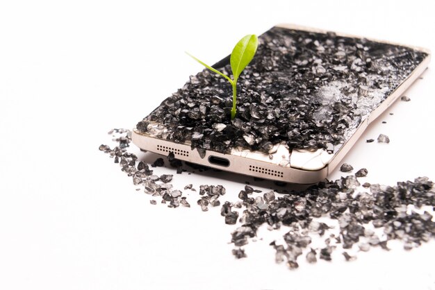 Het kleine boom groeien op gebroken smartphone, milieu, kennis en innovatie