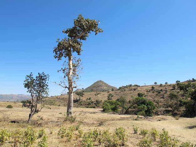 Het kleine dorp in Ethiopië, Afrika