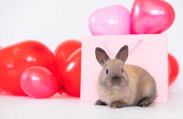 Het kleine konijntje met kleurrijke roodroze ballonnen is dol op huisdierenra