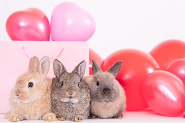 Het kleine konijntje met kleurrijke roodroze ballonnen is dol op huisdierenra