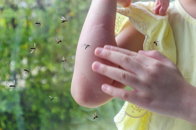 Het kleine meisje heeft een allergische huiduitslag en jeuk op haar arm van een muggenbeet.