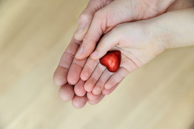 Het kleine rode hart ligt in de handen.