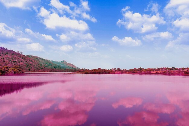 Het kleurrijke retro vaporwave landschap