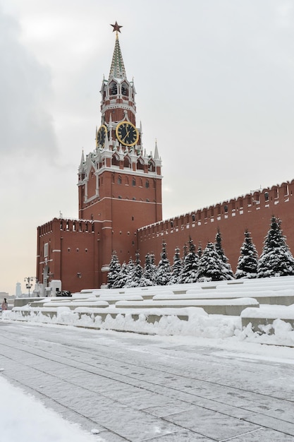 Het Kremlin van Moskou