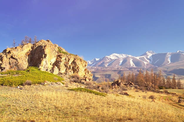 het kurai-gebergte in het altai-gebergte rotsen en droog gras op de berghelling