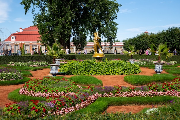 Het lagere park van het peterhof state museumreserve