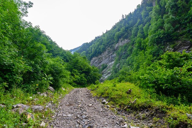 Het land rotsachtige weg in de tropische bergen De alpine bergen en weiden