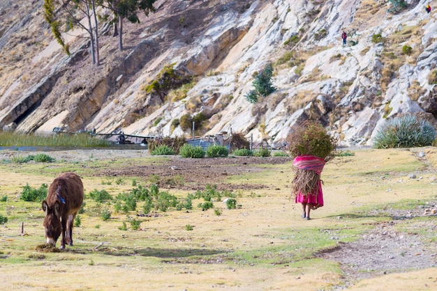 Het landelijke leven op het eiland van de zon, het Titicacameer, Bolivia