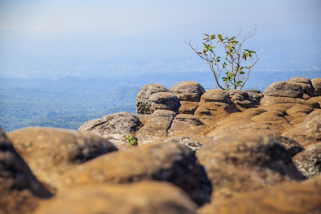 Het landschap bij bergpiek, het Nationale Park van Phu Hin Rong Kla, gebied van steen in Thailand.