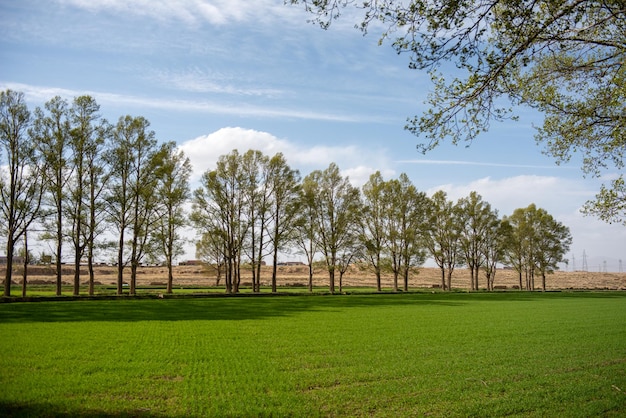 Het landschap in xinjiang