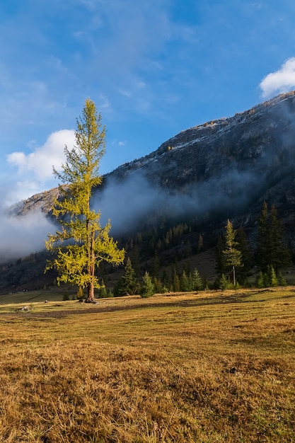 Het landschap van Altai-bergen