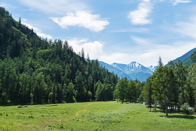 Het landschap van Altai-gebergte met Noord-Chuya-rug op de achtergrond, in de zomer, Siberië, Altai-bergrepubliek, Rusland.