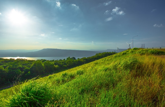 Het landschap van de lente in bergen met gras