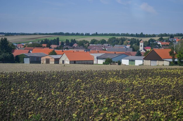 Het landschap van de paleisfoto in de groene velden