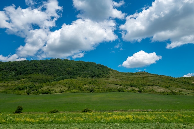 Foto het landschap van de zomer in bucovina, roemenië