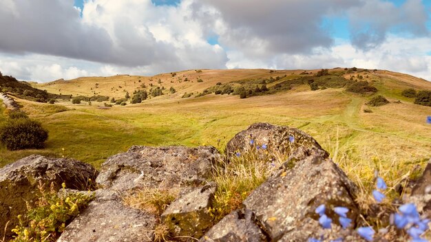 Het landschap van Edinburgh Holyrood Park