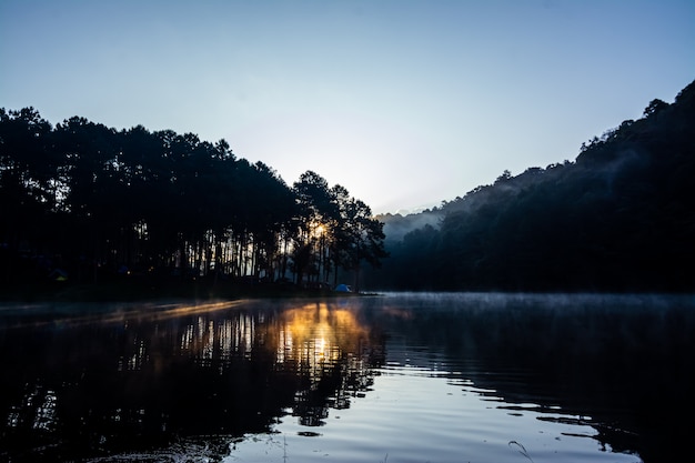 Het landschap van het reservoir en de ochtendmist