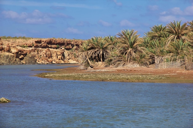 Het landschap van Socotra eiland Indische Oceaan Jemen