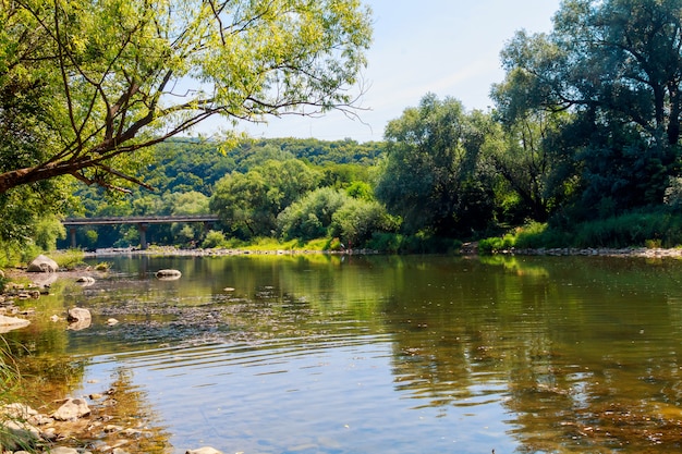 Het landschaps nevelige ochtend van de zomer op de rivier