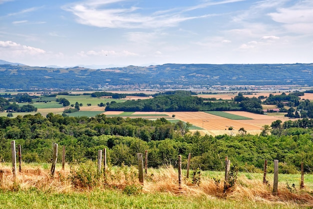 Het landschapsbeeld van grote landbouwgrond met weelderige groene planten Schilderachtig uitzicht op duurzame landbouw en natuur met een bewolkte blauwe hemelachtergrond Vreedzame gecultiveerde landbouwgrond met gewassen