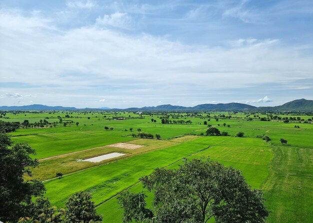 Het landschapspadieveld op bergwolk en blauwe hemelachtergrond