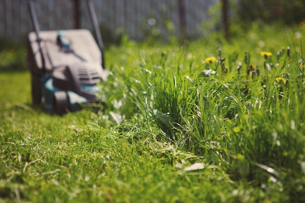 Het maaien van groene gras elektrische grasmaaier. Het verschil tussen de bewerkte en begroeide delen van het veld.