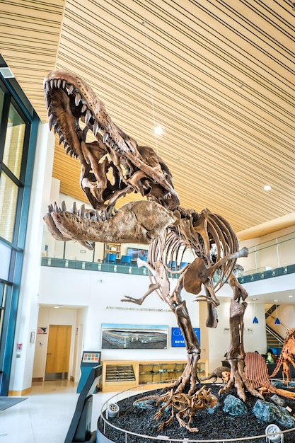 Foto het mayer museum van de angelo state university in san angelo, texas, heeft een levensgroot dinosaurusmodel als onderdeel
