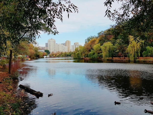 Het meer in het herfstpark