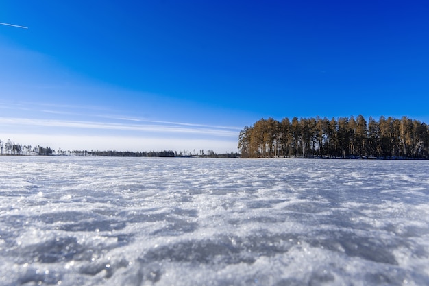 Het meer is met ijs bedekte winterdag