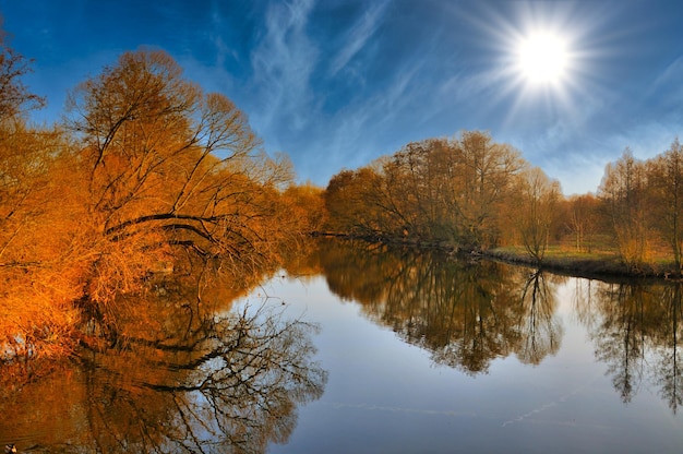 Het meer met rode bomen zonder bladeren in de lente in Aue Park binnen