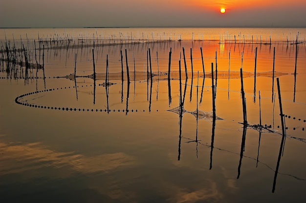 Foto het meer van de albufera in valencia spanje naast het strand met vallen om te vissen bij zonsondergang