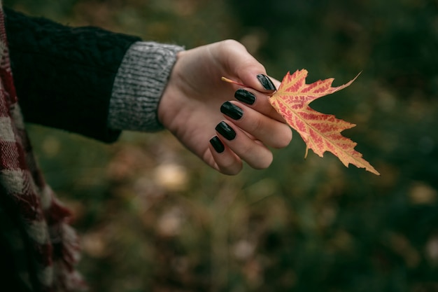 Het meisje houdt een de herfstblad op een achtergrond van groen gras in hand