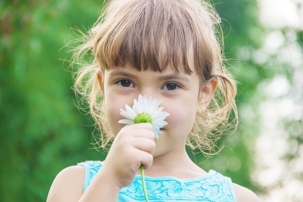 Het meisje houdt kamillebloemen in haar handen.