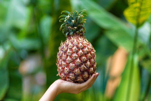 Het meisje houdt rijp ananasfruit op een achtergrond van groene wildernis met blauw water. Luxe vakanties in de tropen