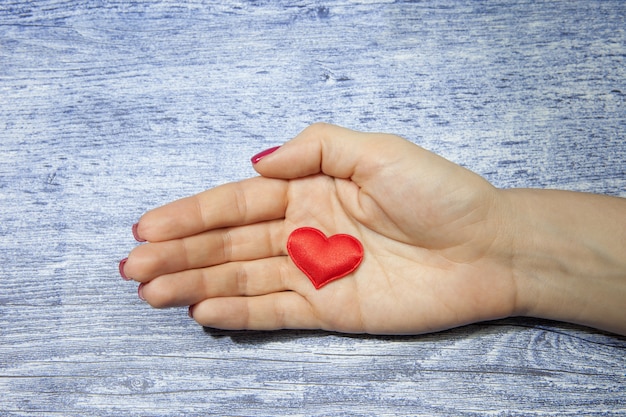 Foto het meisje in de palm houdt één rood hart op een achtergrond van jeanskleur