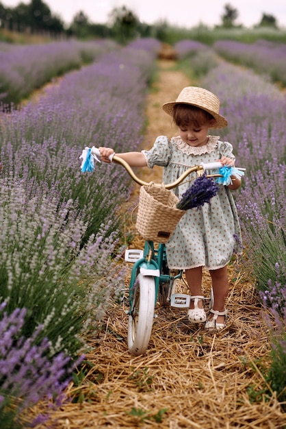 Het meisje rijdt op een fiets en rijdt op een lavendelveld.