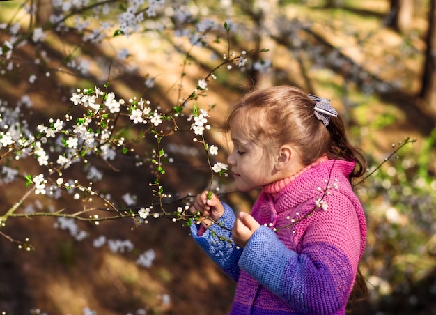 Het meisje snuift kersenbloemen