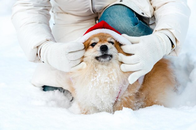 Het meisje zet een nieuwjaarsmuts op voor een spitz-hond. winterse achtergrond.