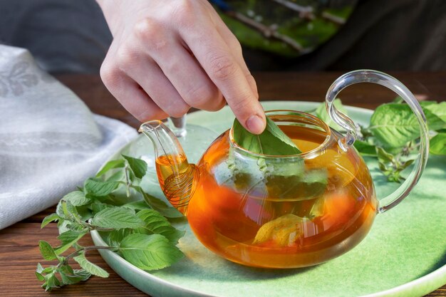 Het meisje zet muntblaadjes in een glazen theepot met groene thee. Gezonde voeding, antioxidanten.